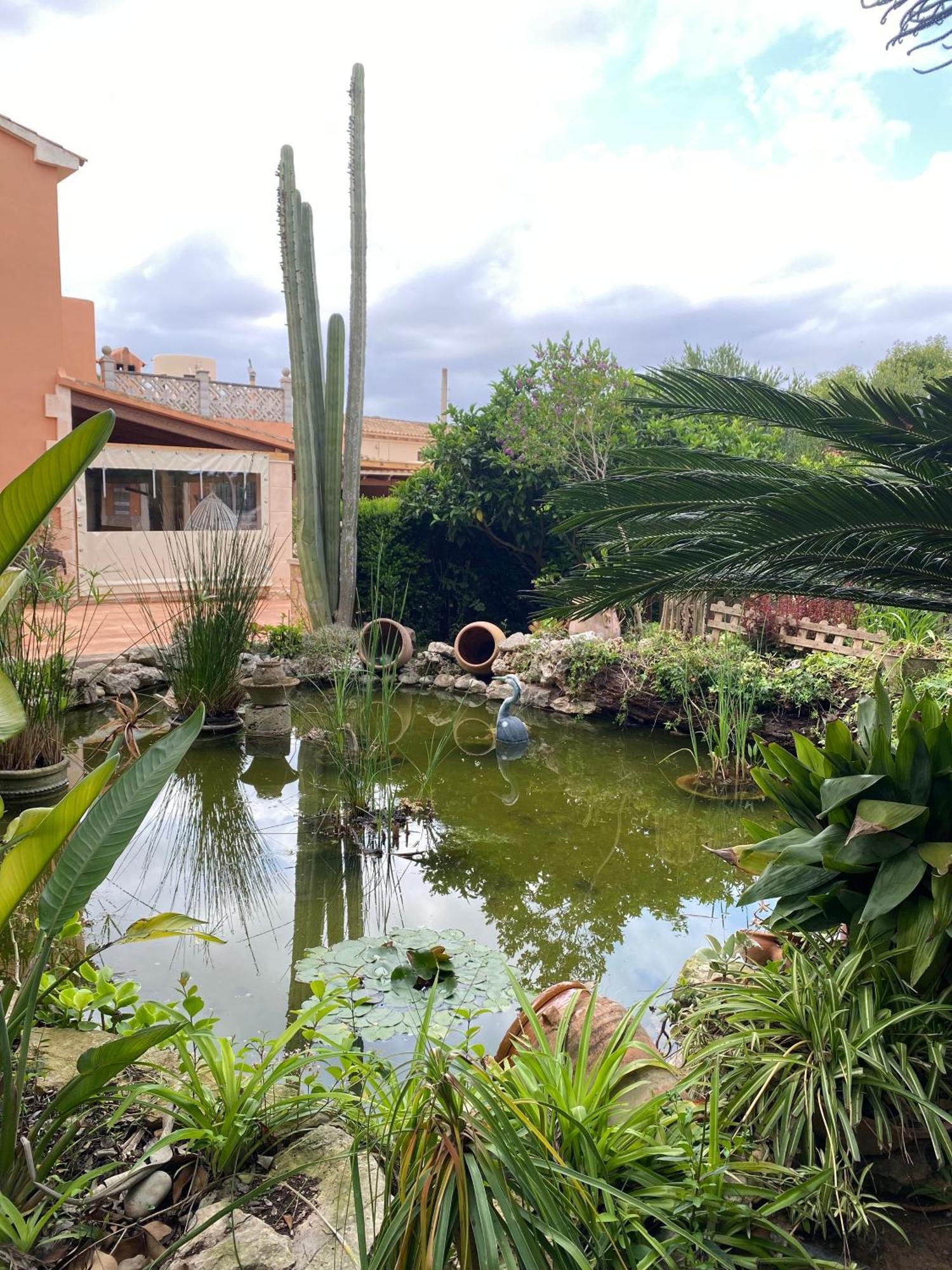 Lodge Pili Mallorca Fenalitx (Fenalich)